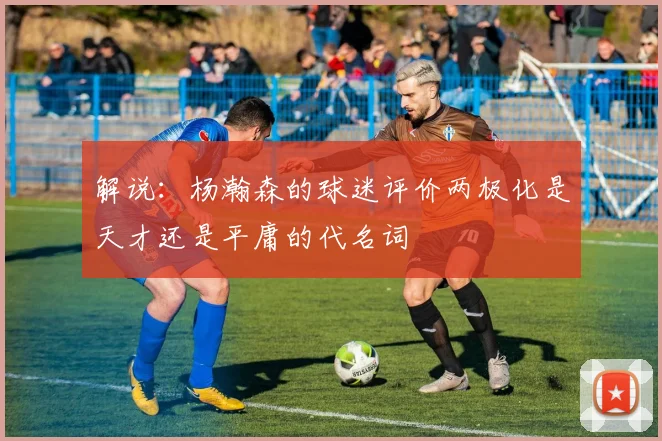 解说：杨瀚森的球迷评价两极化是天才还是平庸的代名词