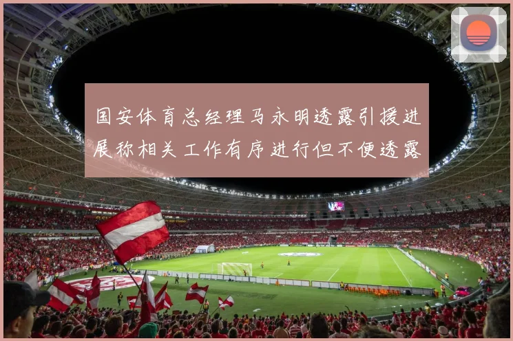 国安体育总经理马永明透露引援进展称相关工作有序进行但不便透露名字