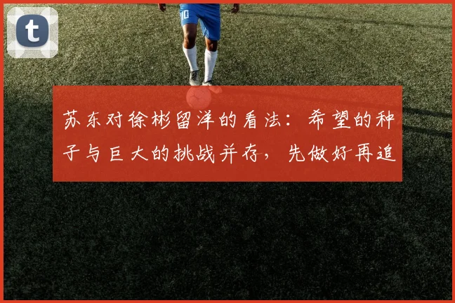 苏东对徐彬留洋的看法：希望的种子与巨大的挑战并存，先做好再追求完美
